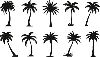 Fototapeta premium Palm tree silhouette collection vector. Tropical coconut trees set design elements. Summer beach vacation minimal icons. Isolated black plants on white background.