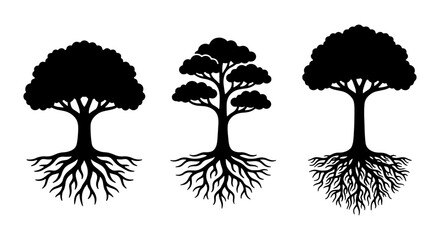 Vector Tree Silhouettes with Exposed Roots, Nature Icons, Organic Growth Symbols, Woodland Elements © Shaheda