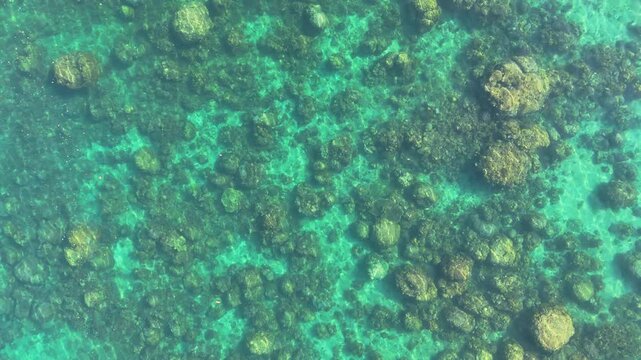 Overhead riser drone shot above the coral reef in the shallow waters of Liminangcong, Philippines