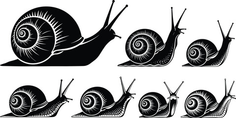 Snail vector illustration set with spiral shell motifs, insect silhouettes, nature figures, crawling designs and decorative art -flat vector illustration © MD AMINUR