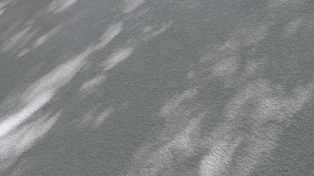 Sunlight and Leaf Shadows on Textured Concrete Wall