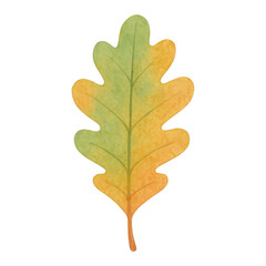 Obraz premium PNG Colorful watercolor oak leaf illustration.