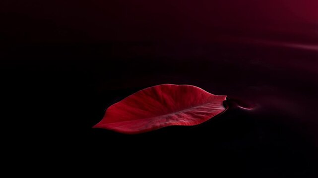 Elegant red leaf floating gracefully on dark water surface