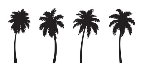 Four detailed tall palm tree silhouettes in row on white background showing coconut palms for tropical landscapes. © Md