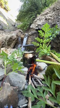 Camping in the Forest: Traditional Tea Brewing Next to a Babbling Brook