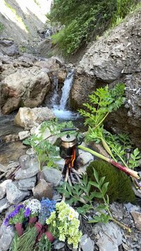 Brewing Tea on Open Fire by a Flowing River in a Lush Green Forest
