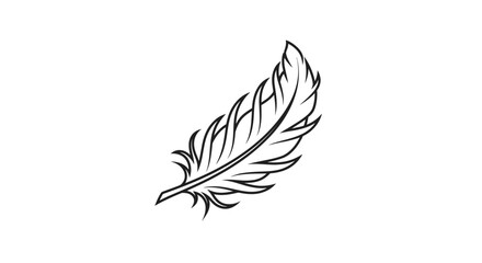 Hand-drawn feather illustration, delicate and elegant line art © sri