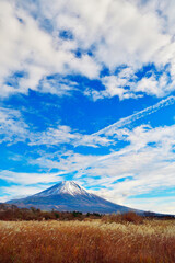 Fototapeta premium ススキ越しに見る朝霧の富士山