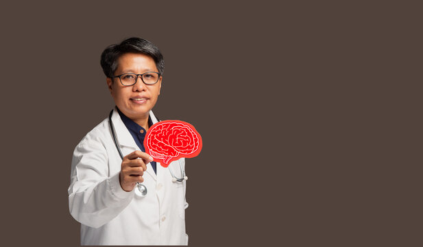 Female Doctor Holding Paper Brain Model for Brain Health