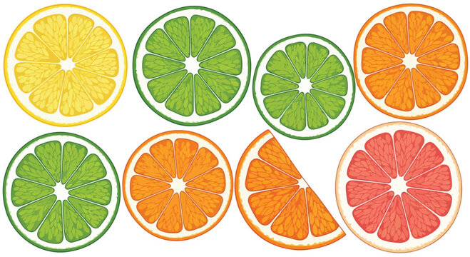 Citrus fruit slices vector set, colorful lemon lime orange and grapefruit cross sections, fresh organic food illustrations for juice packaging