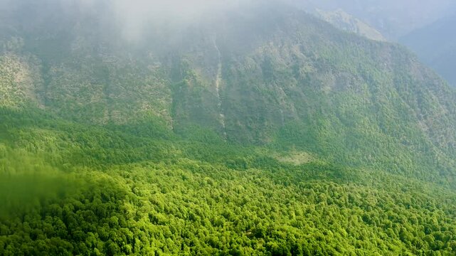 Scenic aerial view of Himalayan forest from Helicopter in Uttarakhand