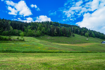 Fototapeta premium スイスの美しい風景