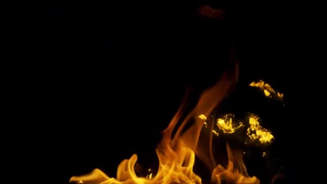 Closeup of vibrant orange flames dancing against a stark black background.