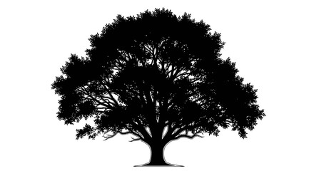 Silhouette of a large oak tree with spreading branches and dense foliage. © Rani