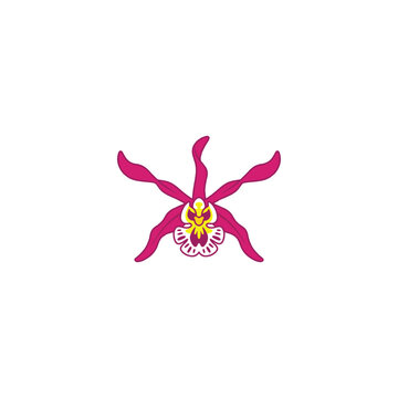 Vibrant pink orchid flower vector illustration with yellow center and delicate petals
