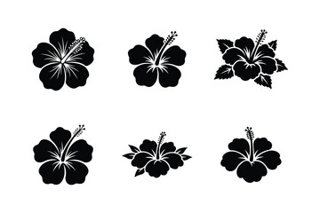Hibiscus Flower Silhouette Set Collection of Tropical Floral Botanical Vector Icons   © Md11