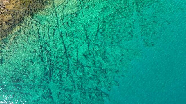 A stunning top-down aerial drone shot capturing the crystal-clear, emerald-turquoise waters of Silba Island, Croatia. The transparent sea beautifully reveals the rocky textures and patterns of the