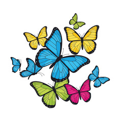 Colorful butterflies flying in air. © indah