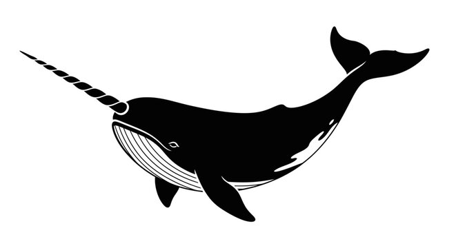 Black silhouette of a narwhal swimming.