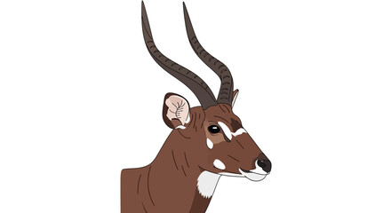 Brown Antelope Head with Long Horns. © ahmad