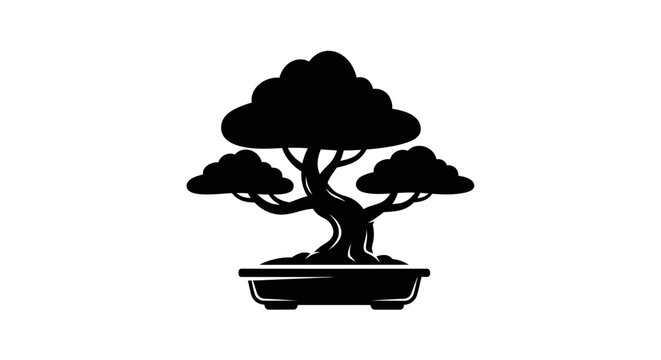 Bonsai tree in a pot.