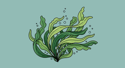 Green seaweed underwater ocean plant. © yanto