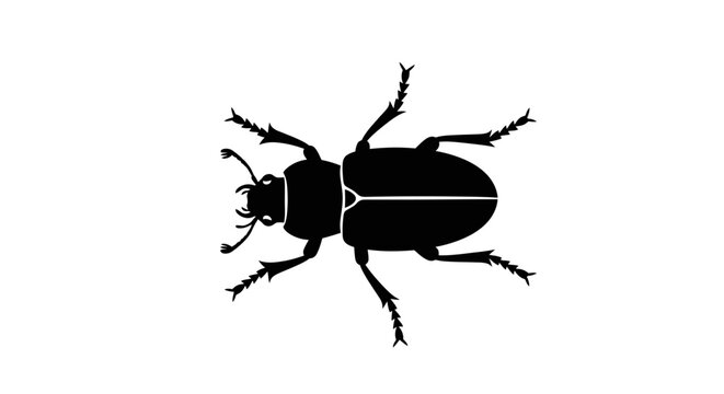 Black silhouette of a beetle insect.