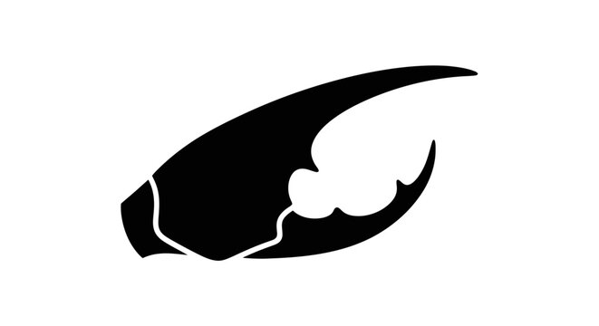 Black silhouette of a bird claw.