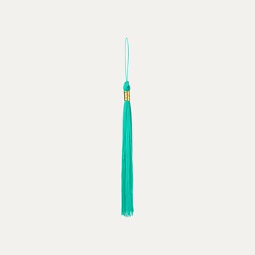 Single teal tassel isolated on white background