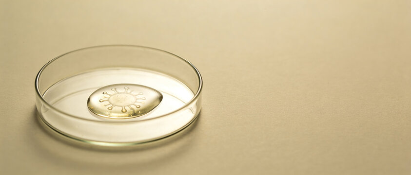 Petri dish on a light background featuring a liquid gel drop in the center containing a virus shape inside.