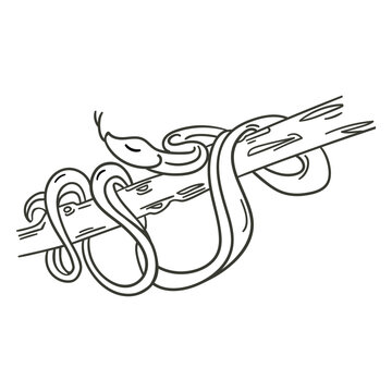 Snake character stroke stylish