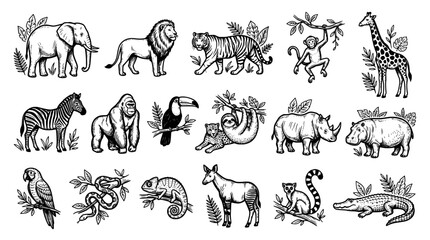 Fototapeta premium Set of wild animals, jungle and safari wildlife, hand drawn vector illustration