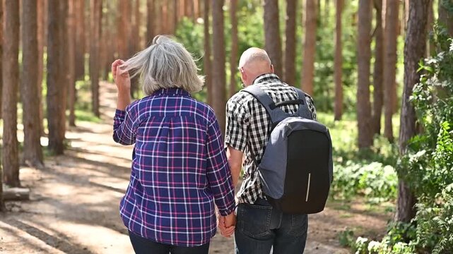Senior couple hiking along forest trail and exploring pine woodland together video Full HD