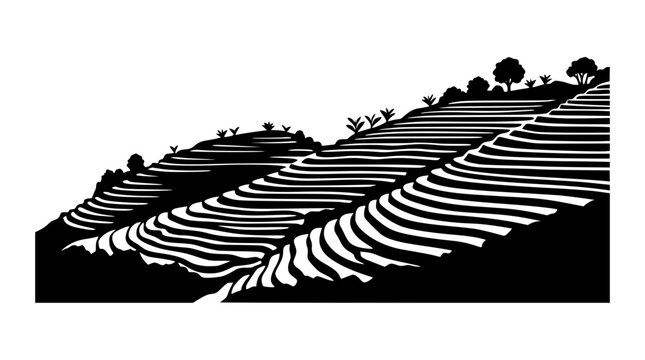Black and white minimalist silhouette of terraced rice fields or tea plantations on hills