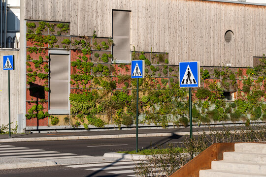 Pedestrian crossing signs stand along an urban street, where a green wall, building facade, road markings and traffic context shape the scene