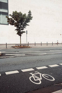 Bicycle lane marking leads across an urban street beside a tree, where road lines, pavement, crossing and building wall define traffic space
