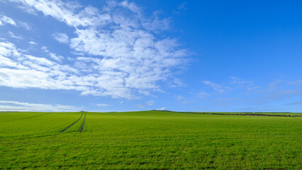 Big blue sky above green field © Ed Bennett