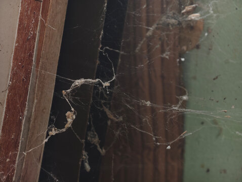 A detailed close-up of thick, dusty cobwebs on an old wooden surface. Perfect for spooky, haunted, abandoned places, Halloween themes, or house cleaning concepts.