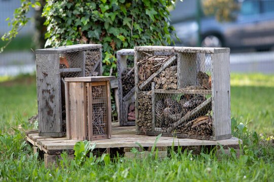 Un h&ocirc;tel &agrave; insectes fabriqu&eacute; &agrave; partir de bois patin&eacute;, de pommes de pin et de tiges creuses se dresse dans un parc verdoyant en ville, &agrave; l'ombre des arbres feuillus en &eacute;t&eacute;.