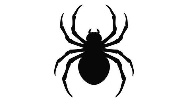 Black spider silhouette on a white background simple arthropod shape