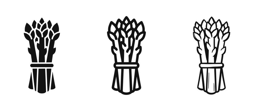 Asparagus Bunch Icon Set - Green Vegetable Silhouette, Line Art, and Hand Drawn Sketch Illustration