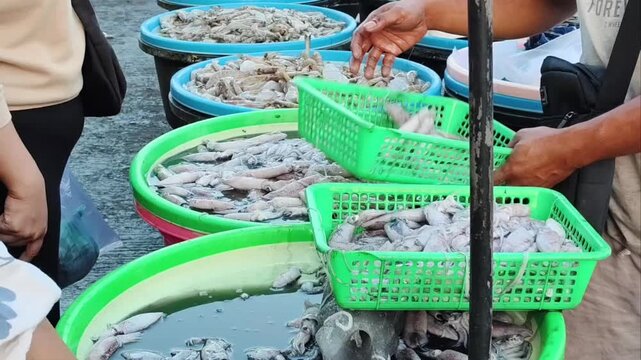 Buyer selecting fresh squid from a vendor at a traditional seafood market.
