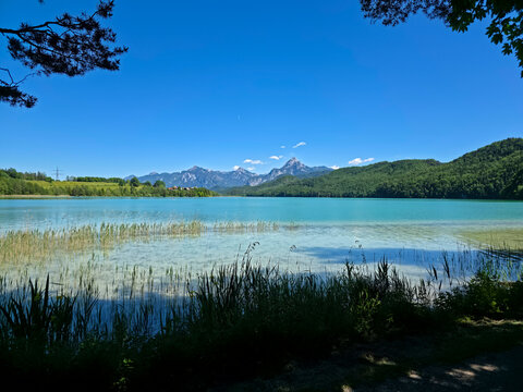 germany, cool summer shade beneath trees beside weissensee creating a refreshing alpine lakeside sanctuary