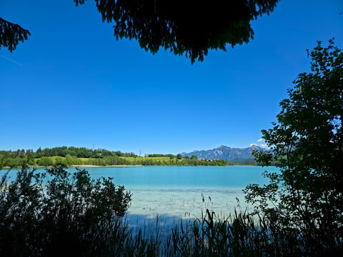 germany, enchanting weissensee framed through leafy branches revealing crystal waters and majestic alpine scenery