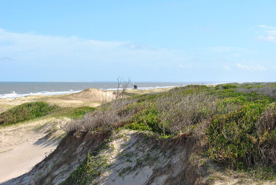 uruguai