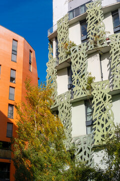 Colorful apartment buildings in Paris frame a tree, where residential windows, green facade pattern and urban architecture shape the exterior