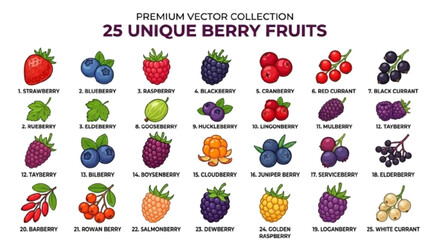 Create a premium vector collection containing 25 unique berry fruits, strawberry, blueberry, raspberry, blackberry, cranberry, currant, gooseberry, colorful clean vector illustration, isolated objects © Natasa Akter 