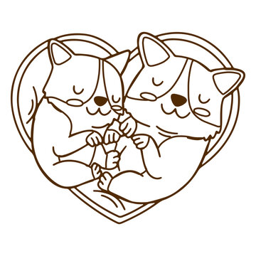 Sweet corgis 
