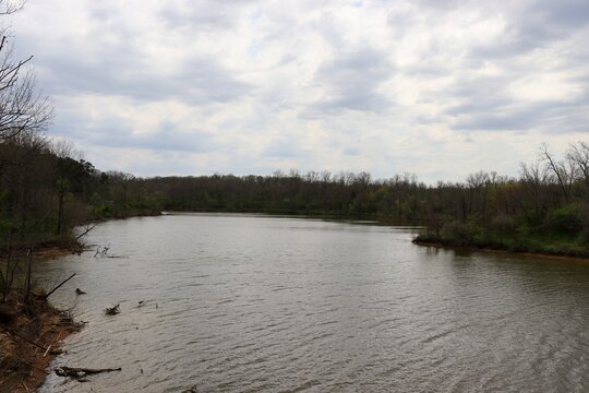 The lake in the woods on a cloudy spring day.