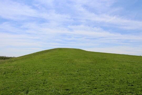 The green grass hill the blue sky in the background.